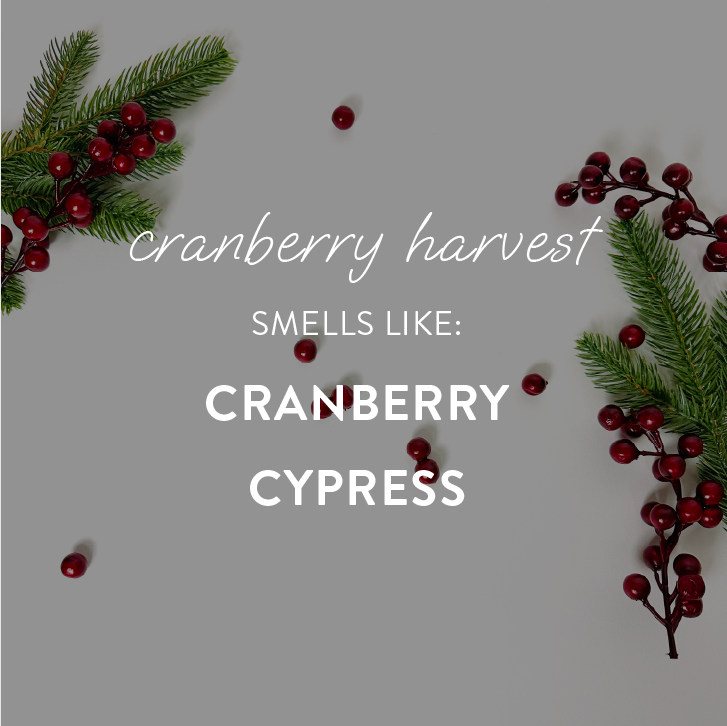 "cranberry harvest" - tin