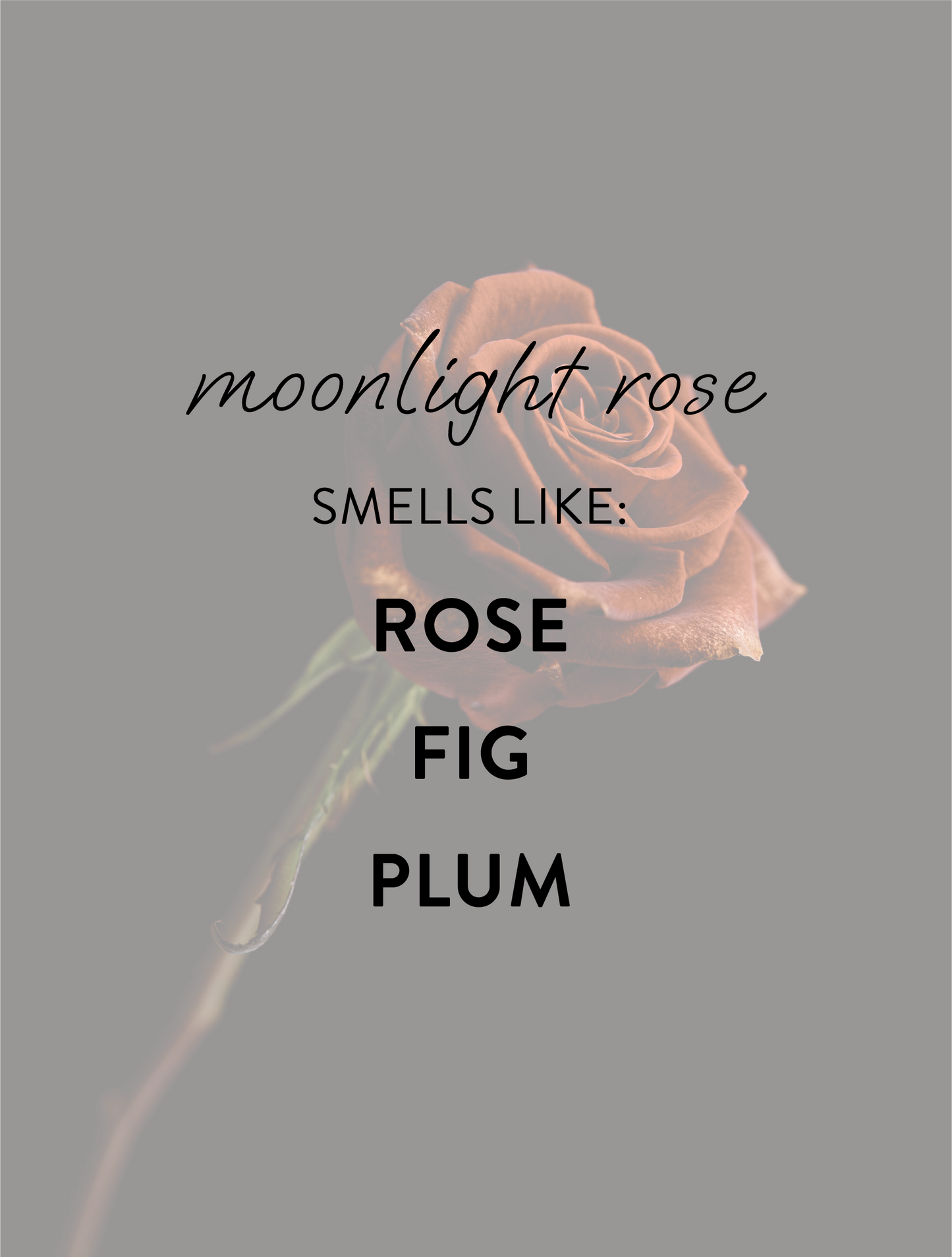 "moonlight rose" - wax melts