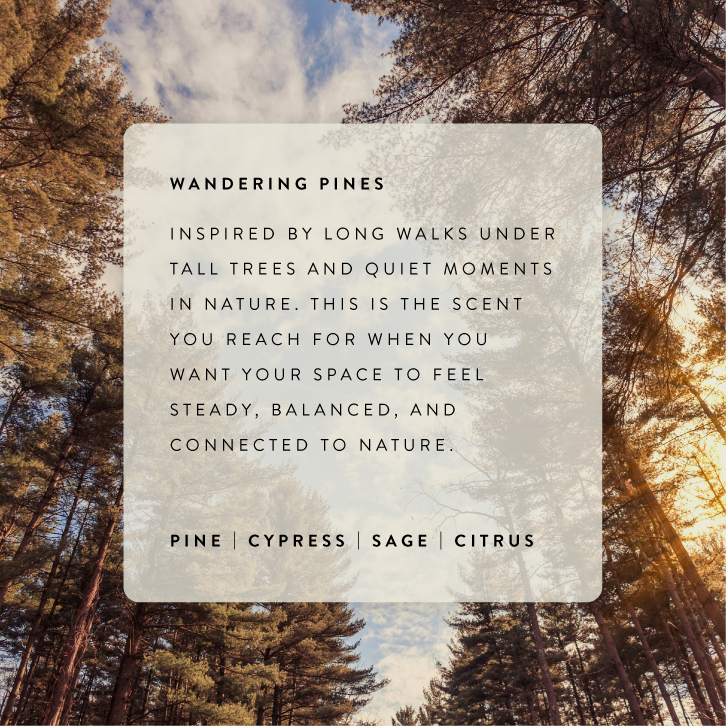 Wandering Pines Small Refill