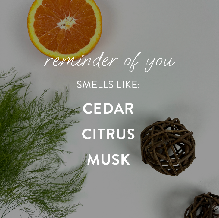 "reminder of you" - wax melts