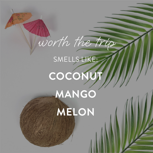 Worth the Trip Wax Melts
