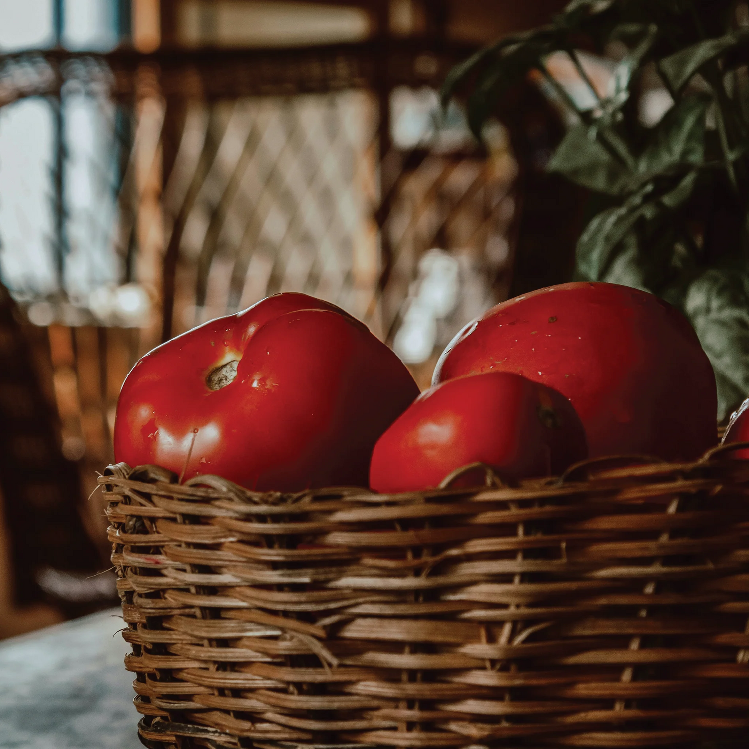 farmers market
