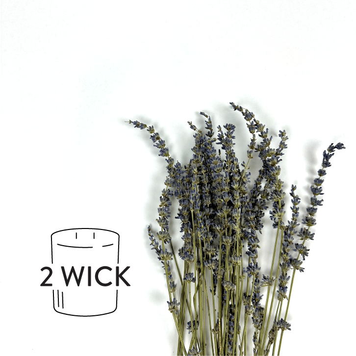 peace of mind double wick refill