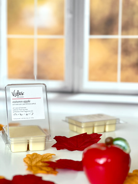 Captivating fall fragrance: Autumn air and Macintosh apple wax melts. A vivid red apple stands prominently in the foreground, surrounded by fall-colored leaves. Beyond, a blurred vista of yellow fall foliage outside a window sets the scene, capturing the essence of the season.