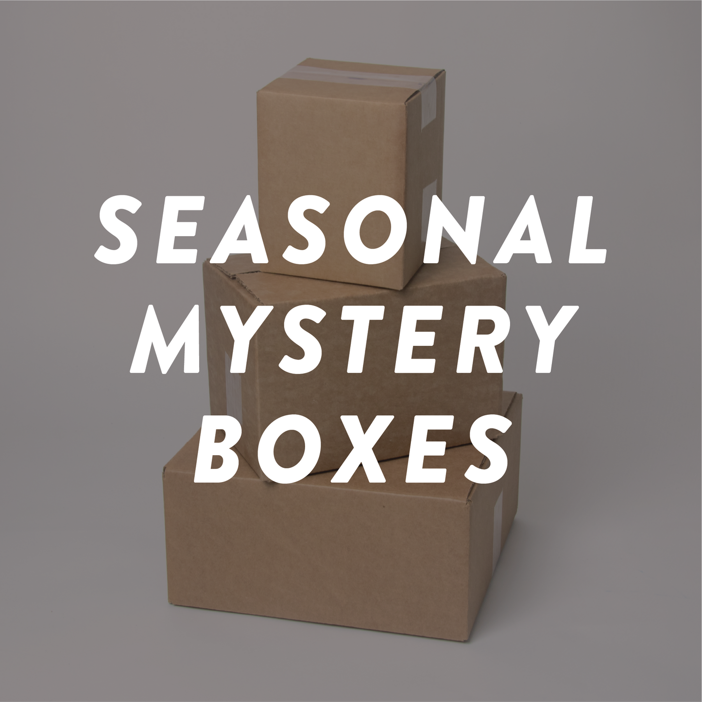 past season mystery box