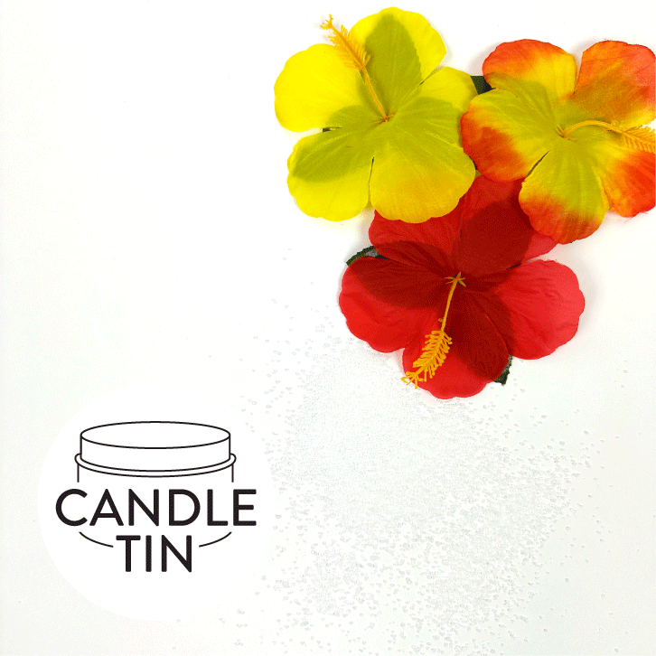 ocean side lanai candle travel tin